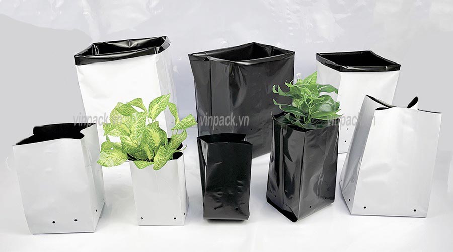 túi trồng cây, túi pe trồng cây, túi bầu pe, tui trong cay, tui pe trong cay, tui bau pe