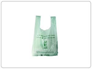 Biodegradable bag