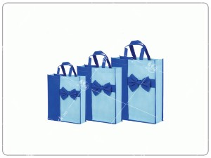 Túi vải không dệt đựng quà