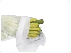 Túi vải không dệt bọc trái cây