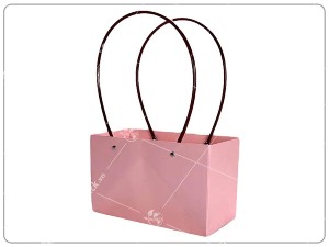 Túi giấy đựng quà ngày của mẹ 9/5
