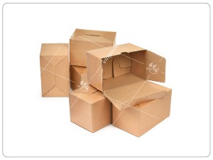 Thùng carton