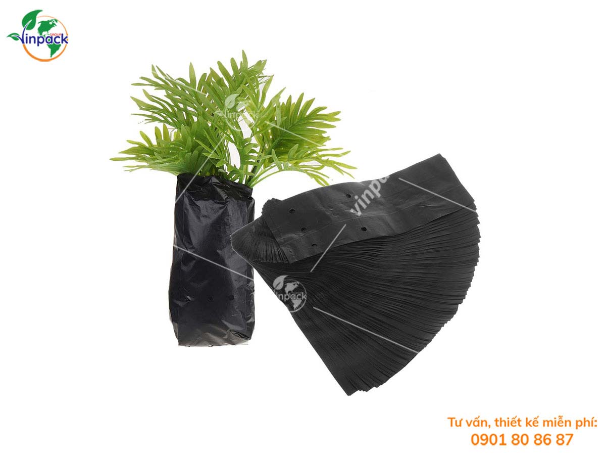 Túi ươm cây đen